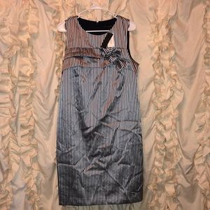 Banana Republic Navy Shift Size 10 NWT
